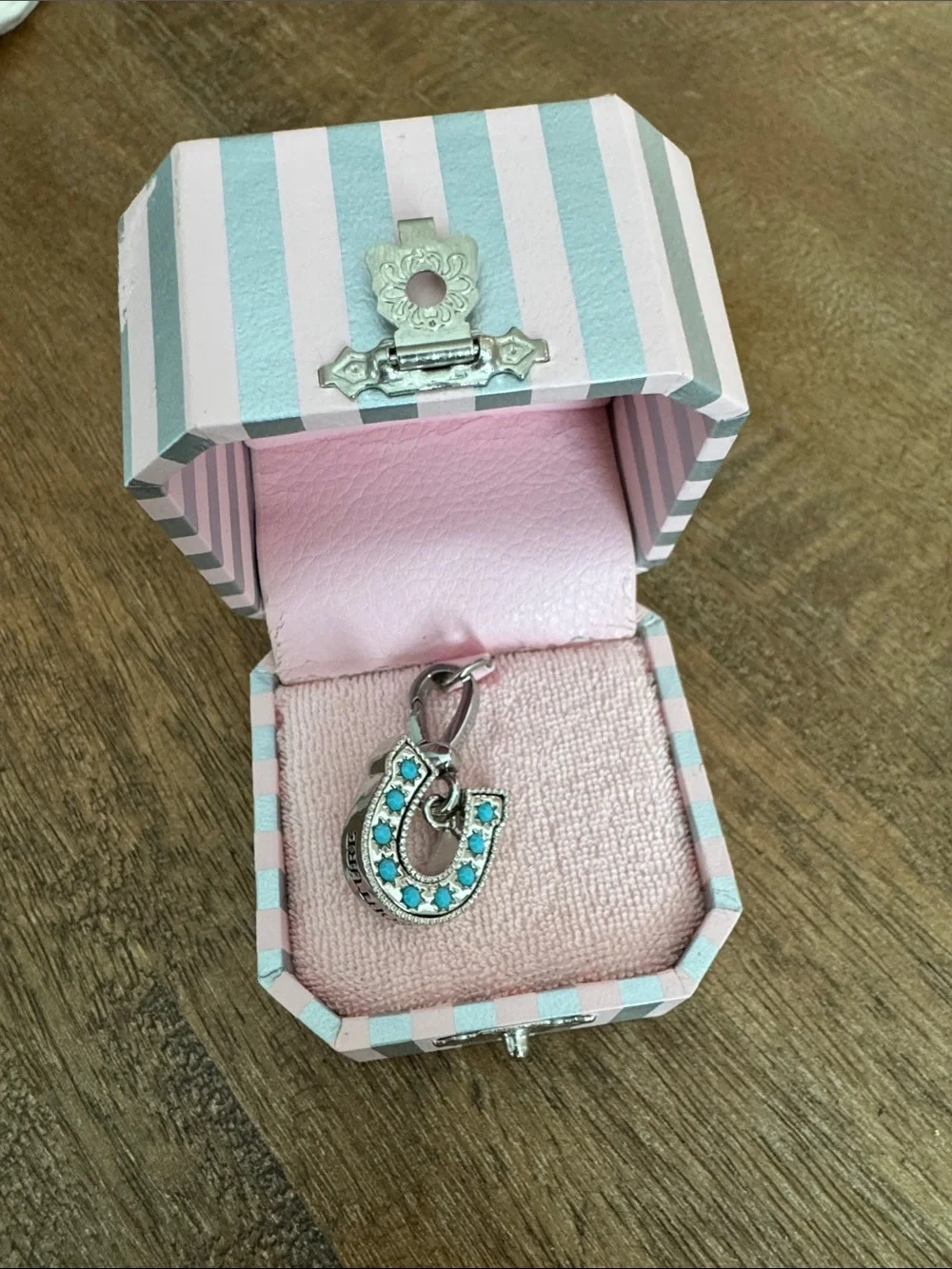 Juicy Couture Silver and Turquoise Horseshoe Charm